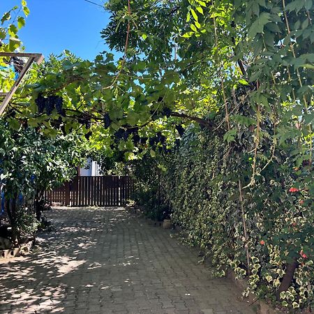 Downtown Guest House 쿠타이시 외부 사진