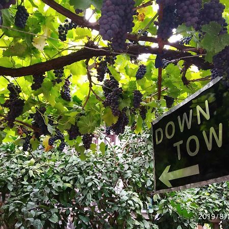 Downtown Guest House 쿠타이시 외부 사진
