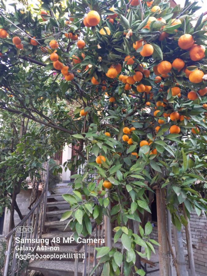 Downtown Guest House 쿠타이시 외부 사진