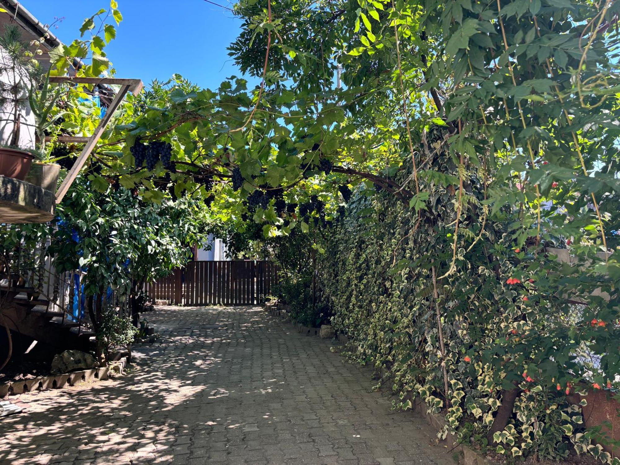 Downtown Guest House 쿠타이시 외부 사진