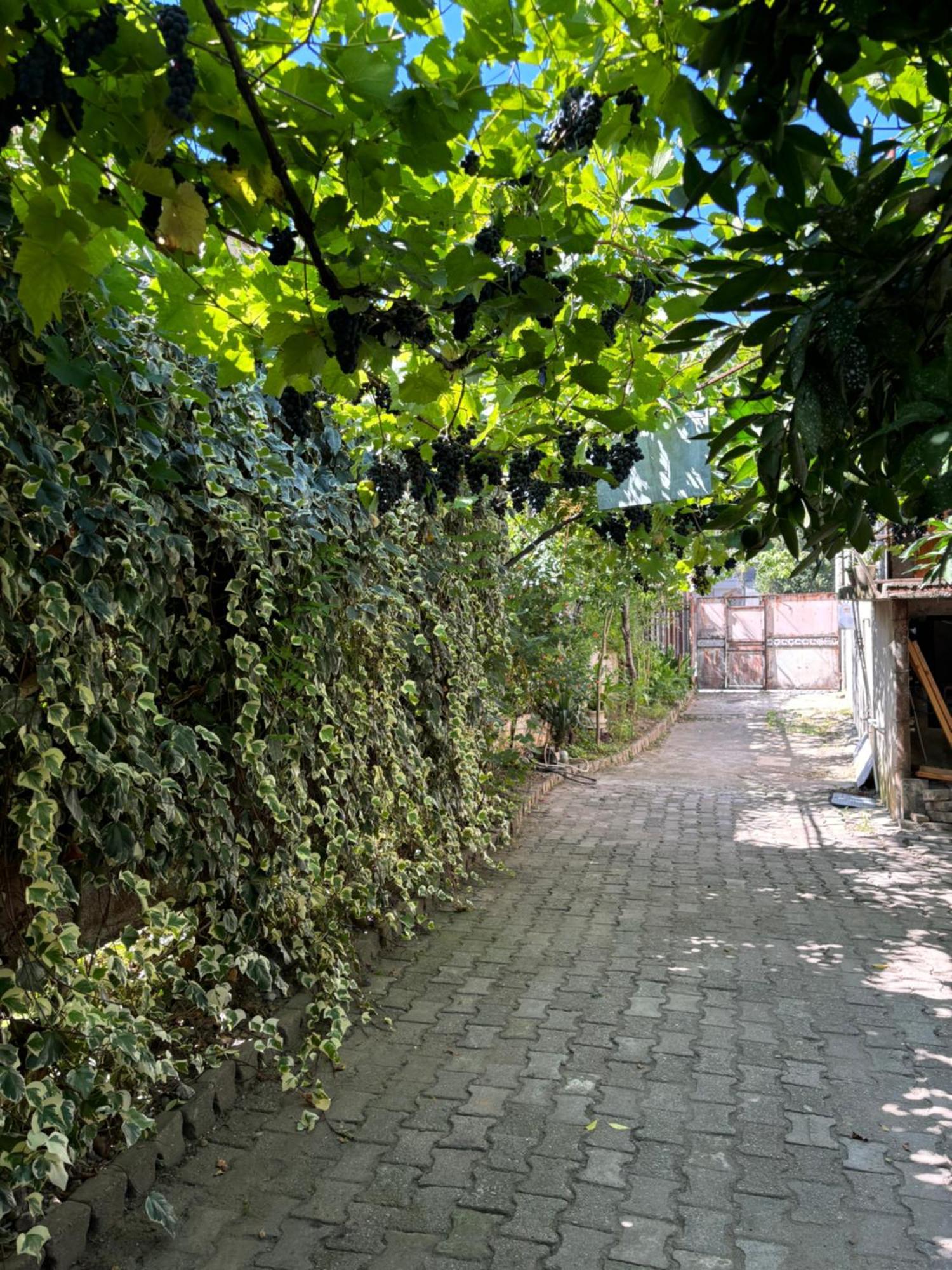 Downtown Guest House 쿠타이시 외부 사진