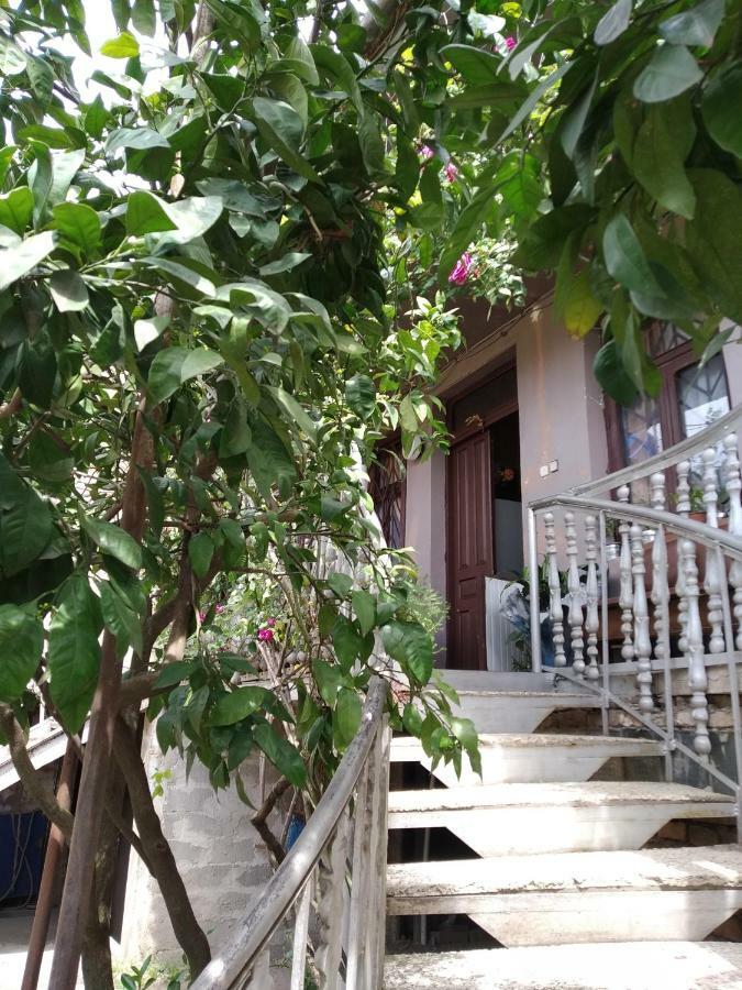 Downtown Guest House 쿠타이시 외부 사진