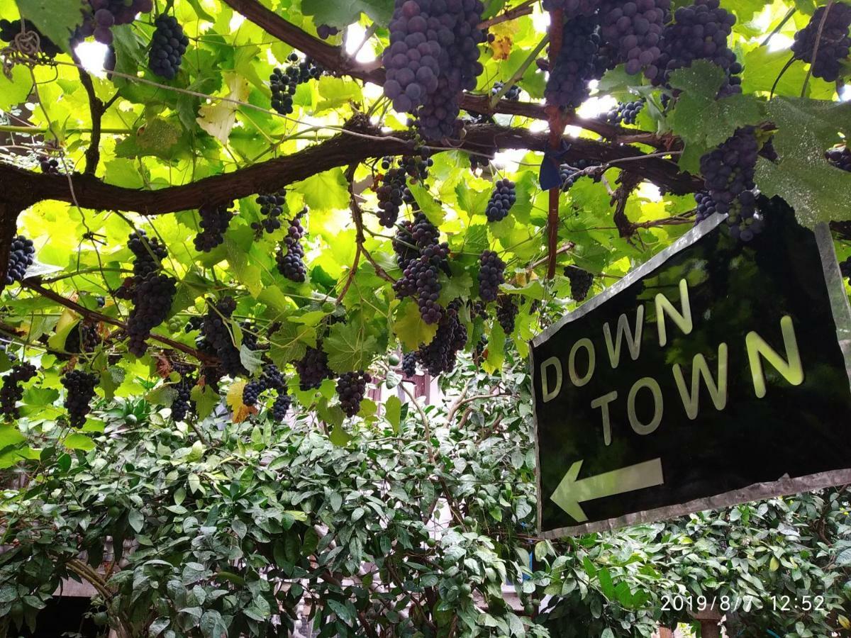Downtown Guest House 쿠타이시 외부 사진